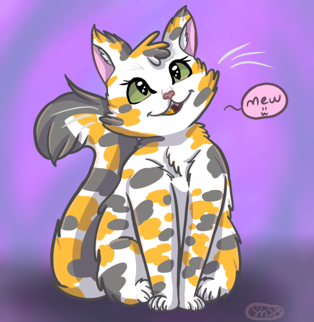 Calico or Tortiseshell Kitty