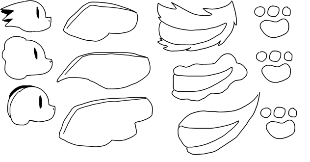 Morphosini bodys colour in