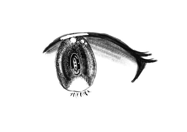 いろんなペンで目を描いてみた！！