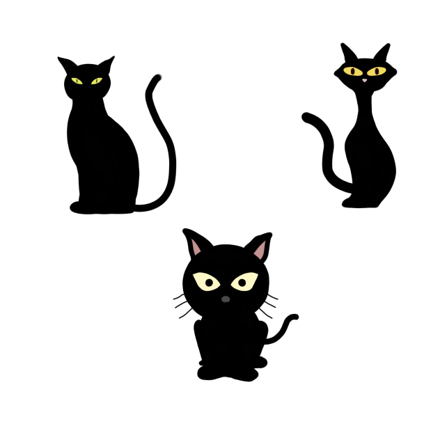 Black cat