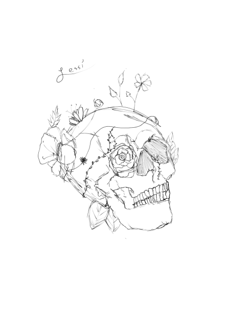 skull - ibisPaint