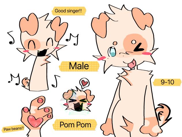 Pom Pom