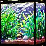 水槽【ドット絵】  pixel-art aquarium