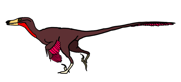 Velociraptor