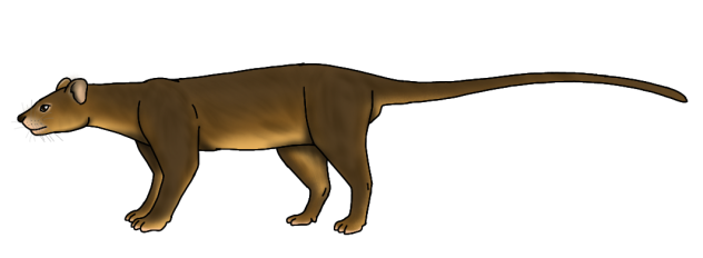 Fossa render