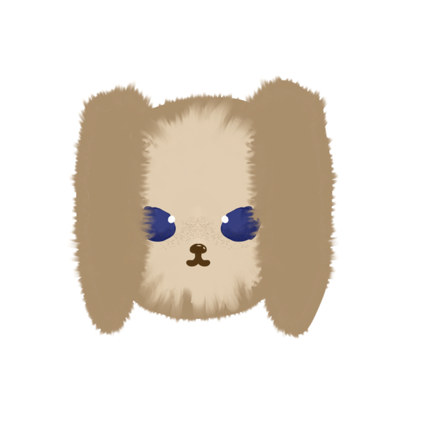 BUNNYYYYY