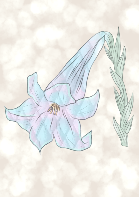 The Flowers in The Movie