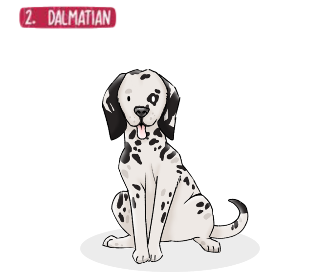 Doggust day 2 - Dalmatian