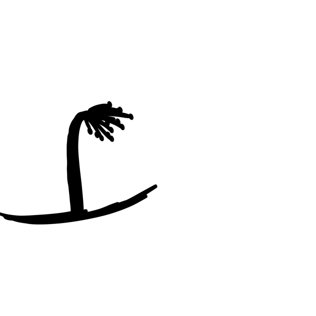 🥥
