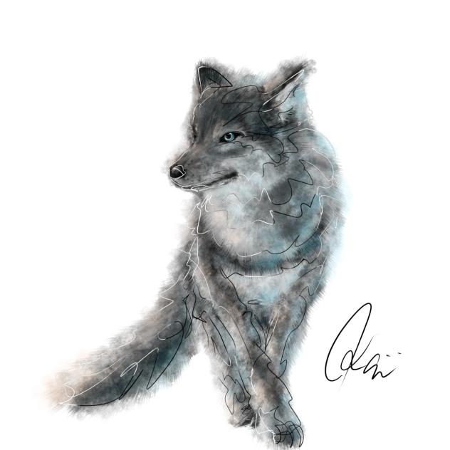 オオカミ　Wolf