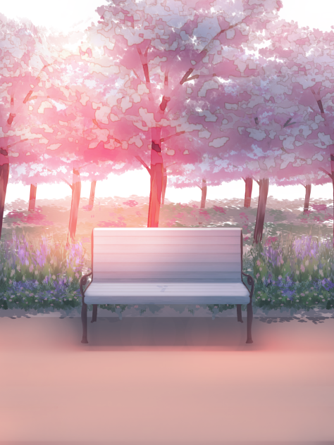 IBM2311 a park bench 02 sunset