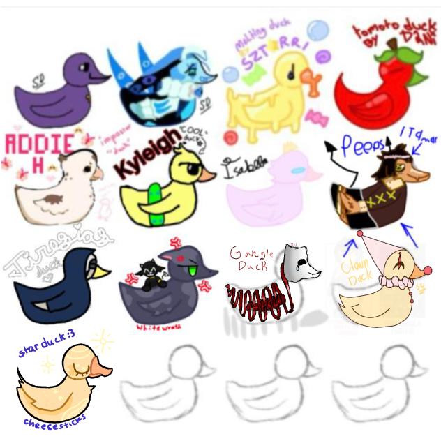 duck collab
