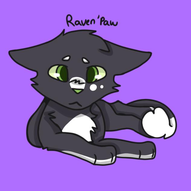 Raven’paw 🐈‍⬛