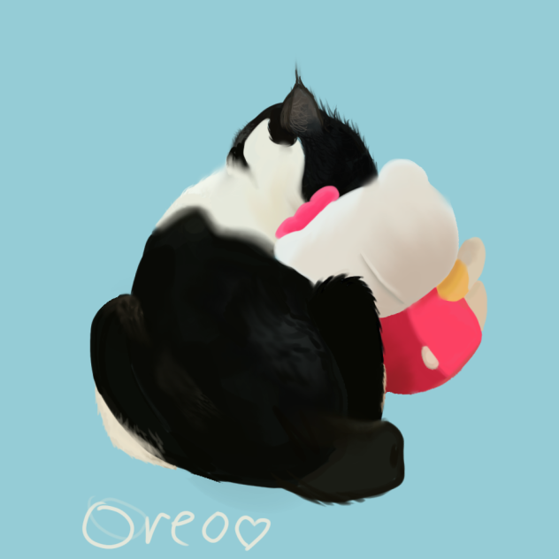 ❤︎♡︎︎Oreo and hello kittu❤︎︎♡︎