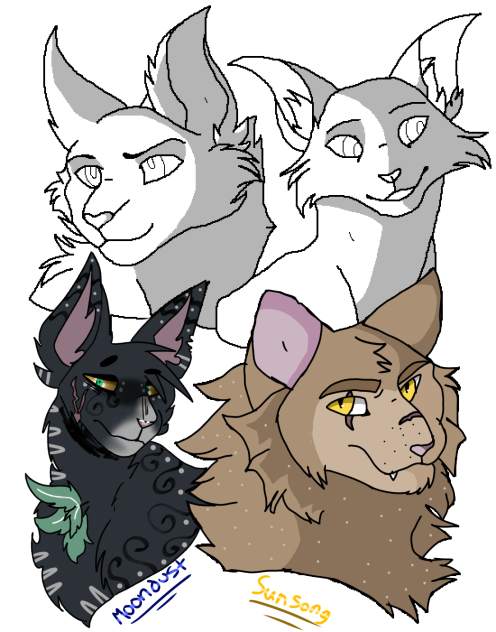 Warrior cats collab