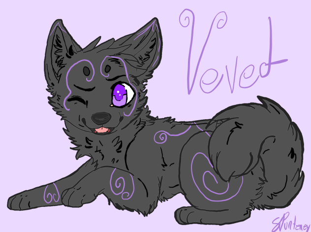 velvet