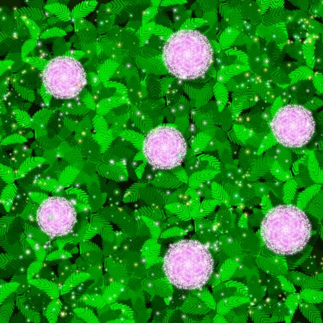 plant Background Mimosa