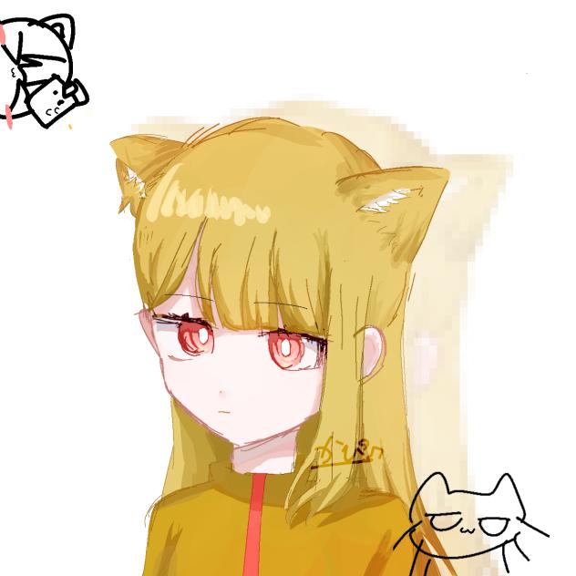ぬここここ
