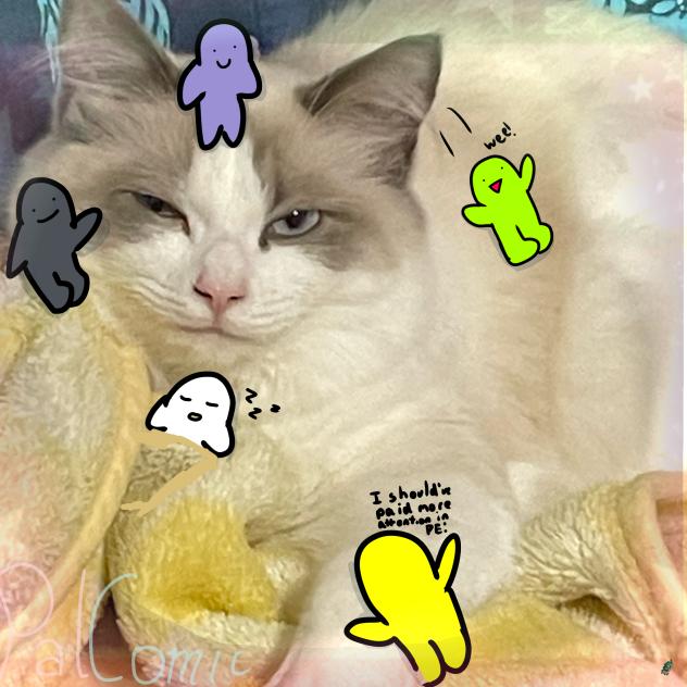 My cat and the blobs!