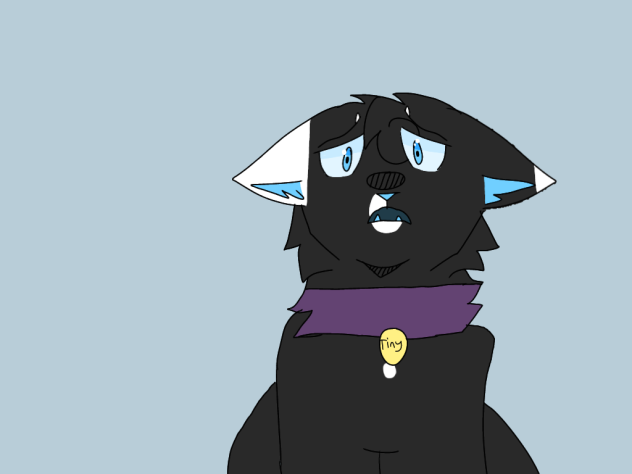 Tiny (warrior cats)