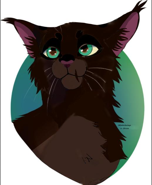 Cat profile