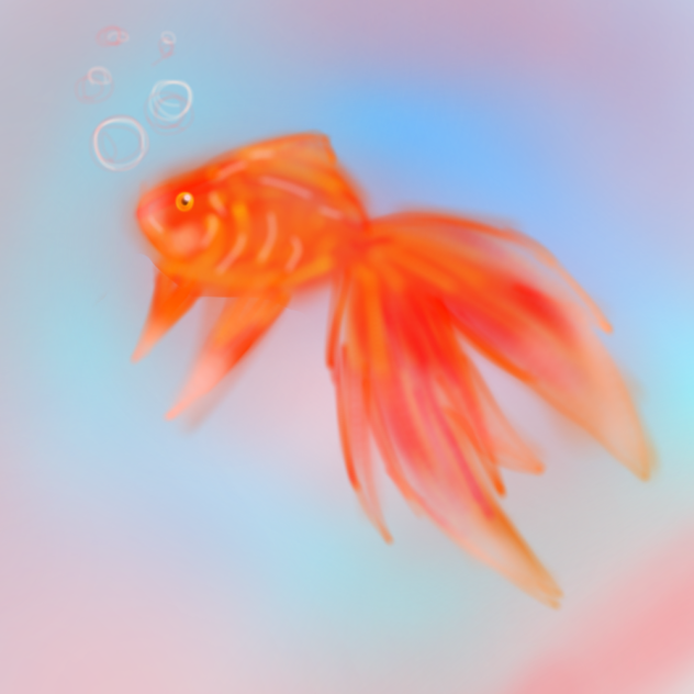 金魚さん