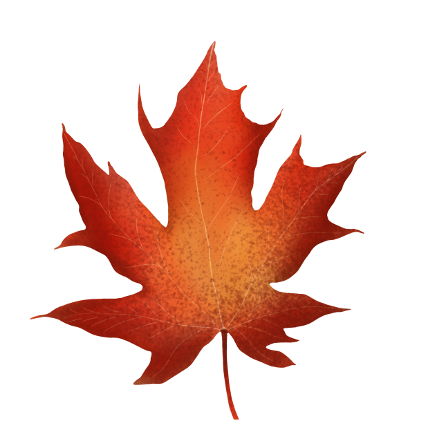 Autumn leaf