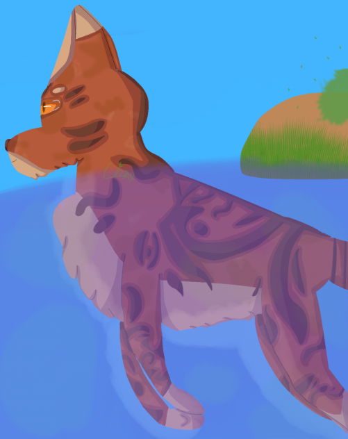 My boy-