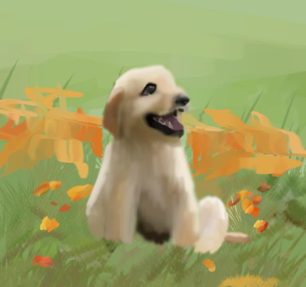 Puppy!