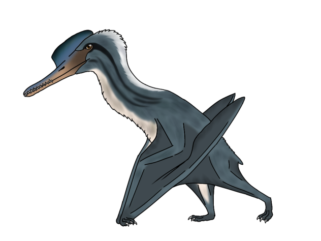 Ardeadactylus longicullum render