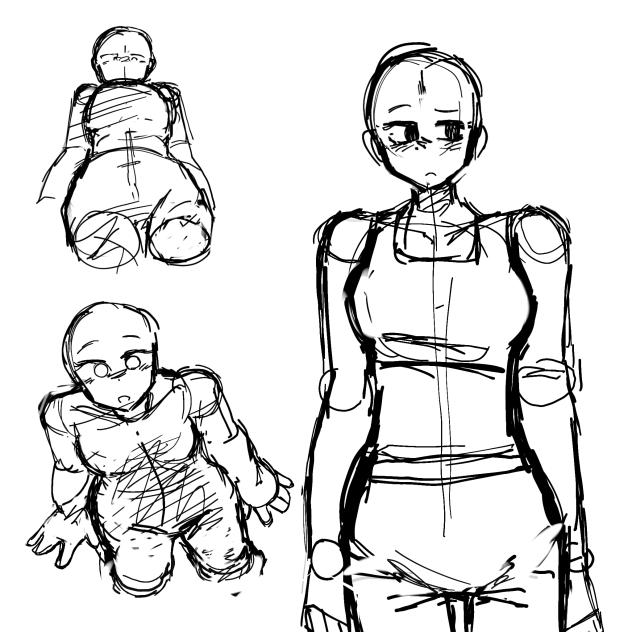 anatomy.