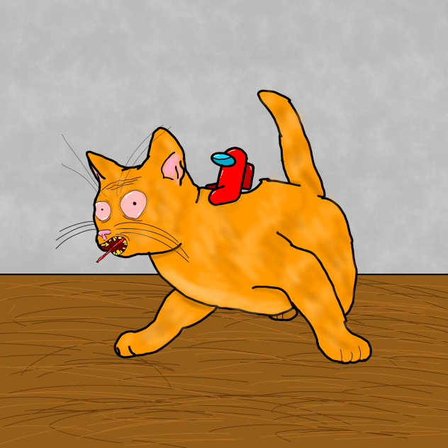 kitty