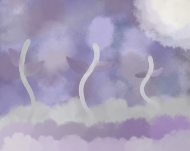 Flower wonderland