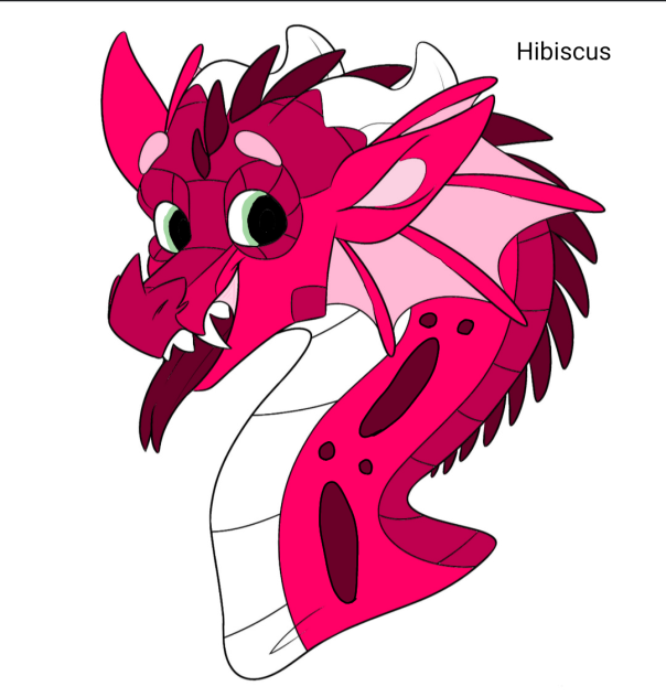 Hibiscus - ibisPaint
