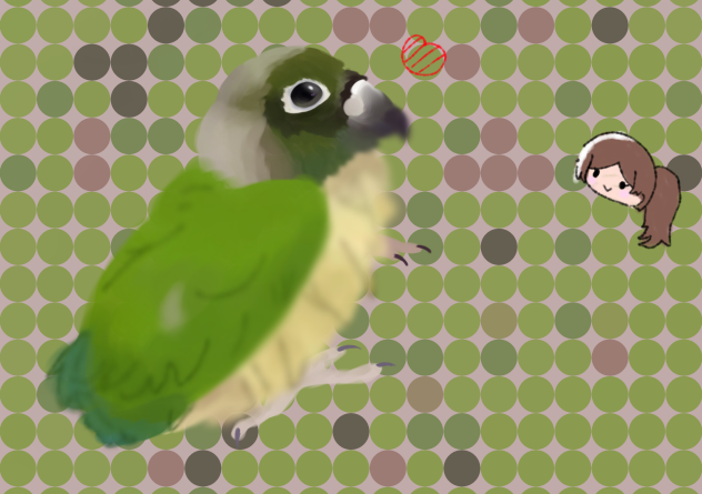 ウロコインコ‼︎