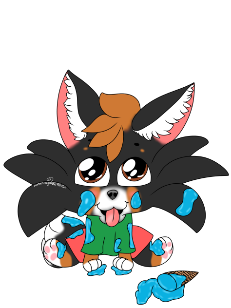 Messy Bernese Mountain Dog Puppy