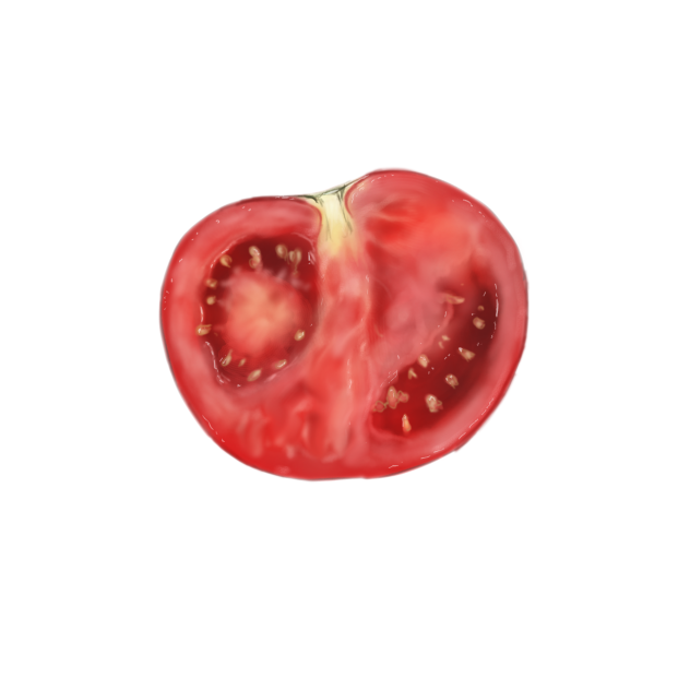 ハウツー本見て描いたトマト