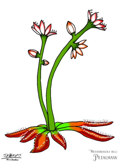 Petalmaw (2023)