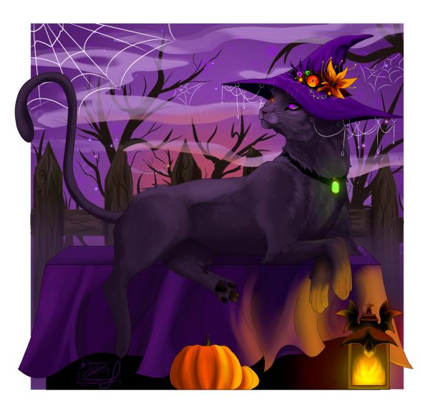 Halloween cat 🎃