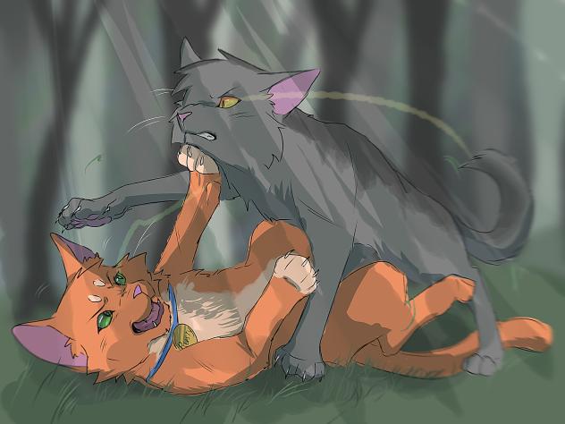 graypaw(graystripe)vs rusty