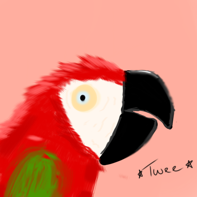 Parrot - ibisPaint