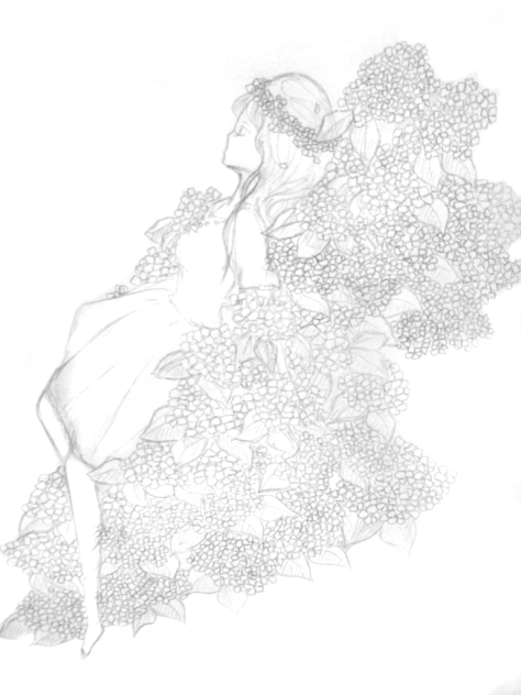 紫陽花