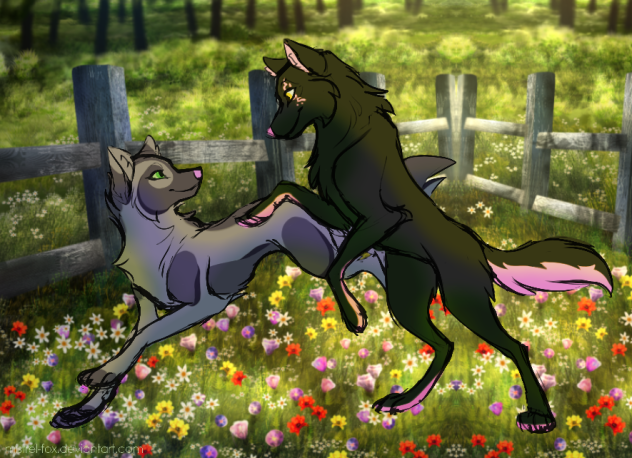Karma and Ace frolicking