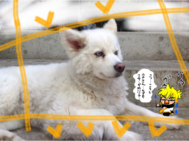 レポーター鏡音レン
