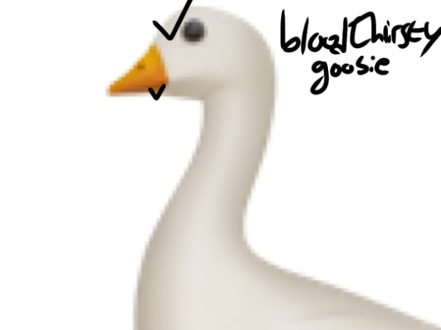 Fluffing a duck