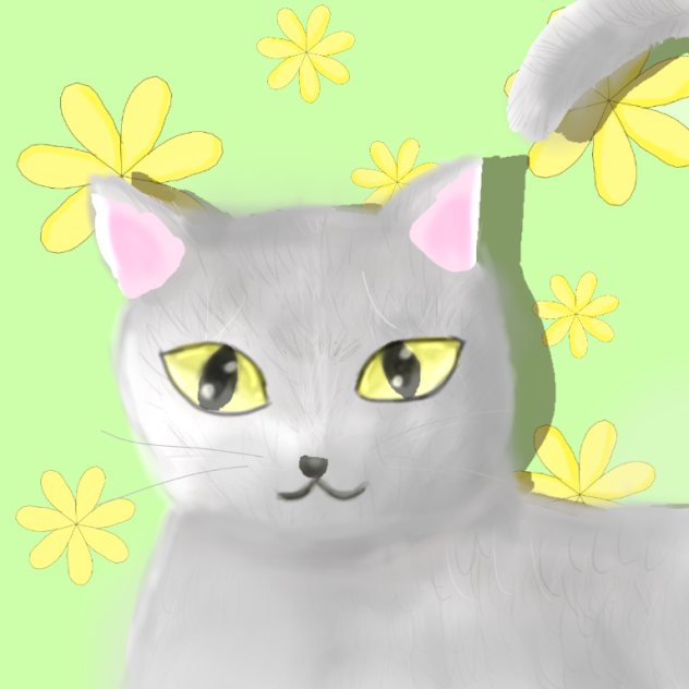 猫