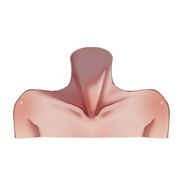 How to Shading Shoulder