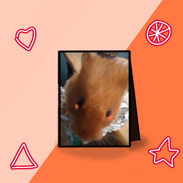 toastie