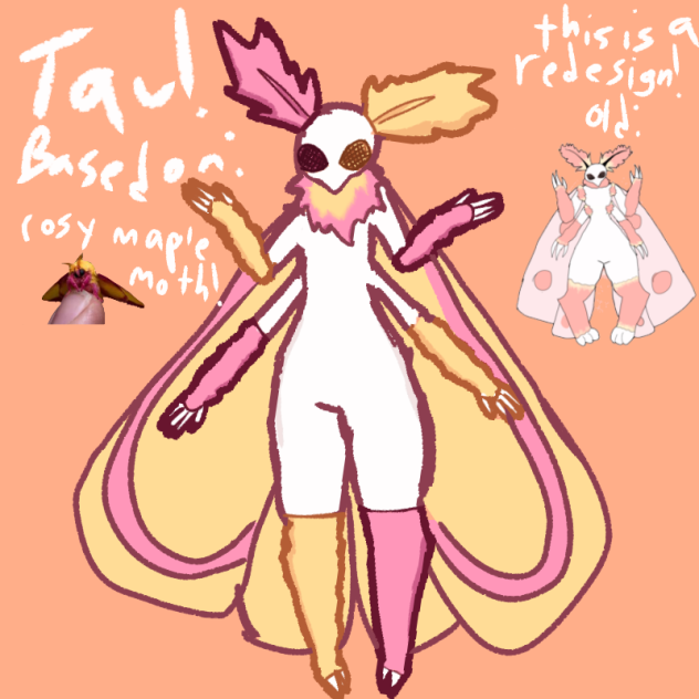 Tau the rosy maple moth!