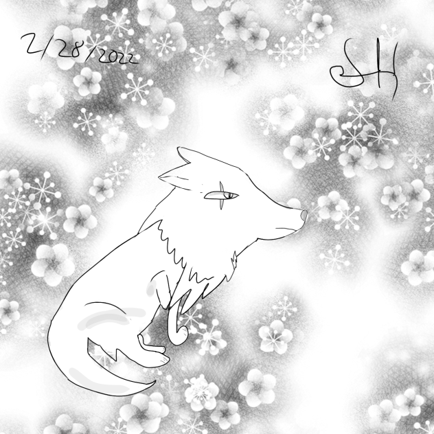 Wolf.